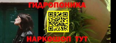 apvp Кунгур