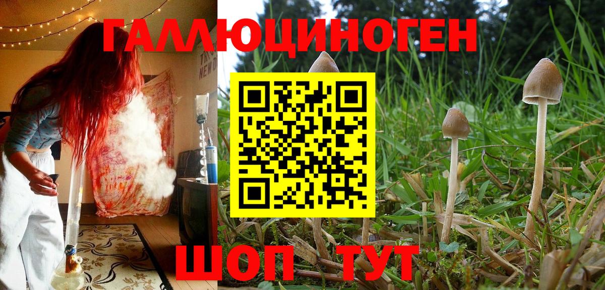 Псилоцибиновые грибы мицелий Гусь-Хрустальный